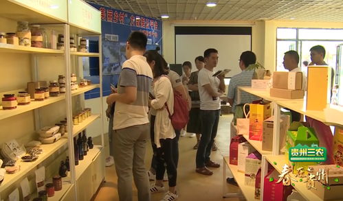 數說貴州 數字鄉村的貴州實踐，智慧生活織就智富夢